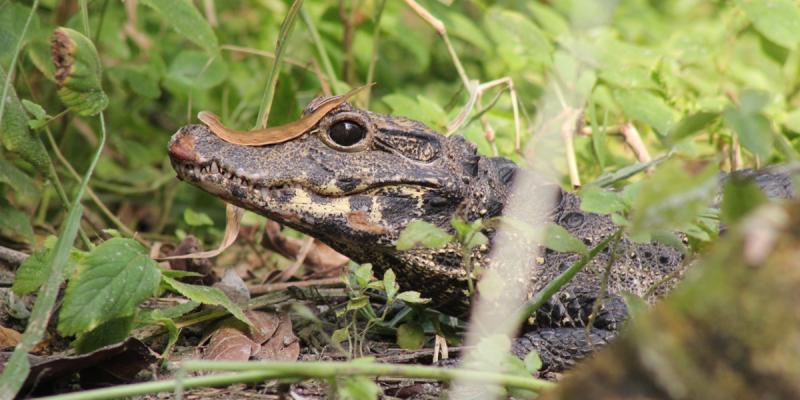 media gallery image 2