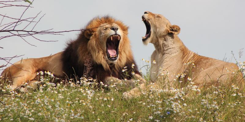 media gallery image 6