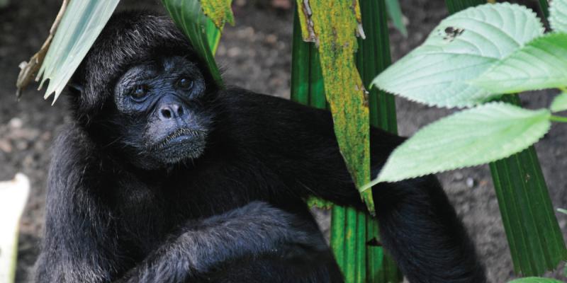 media gallery image 2