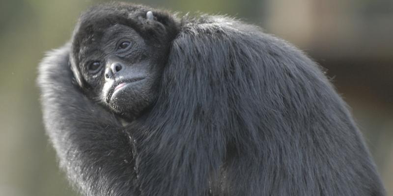 media gallery image 6