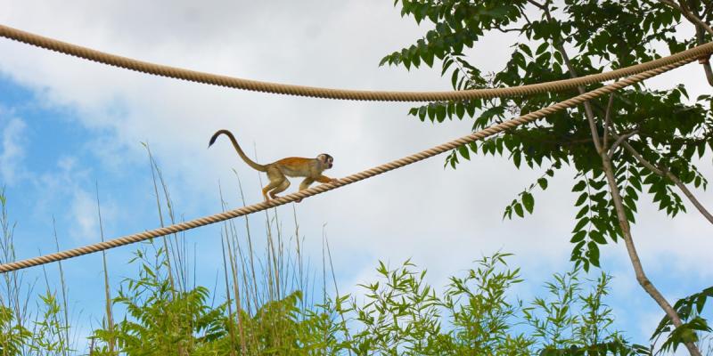 media gallery image 6