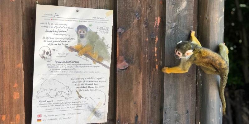 media gallery image 2