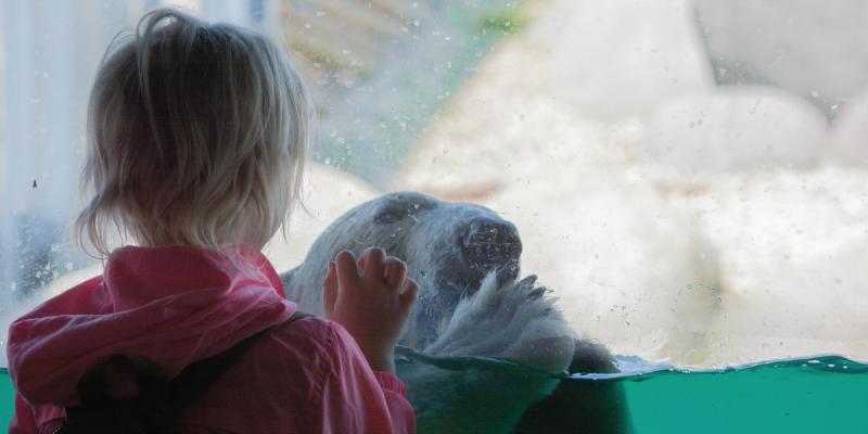 media gallery image 2