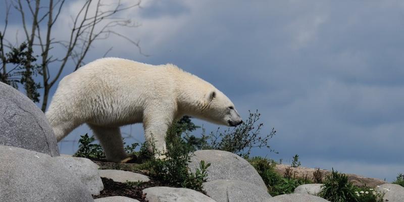 media gallery image 6