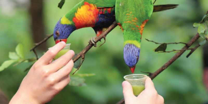 media gallery image 2