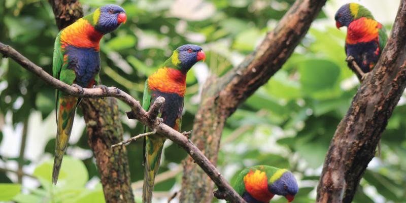 media gallery image 6