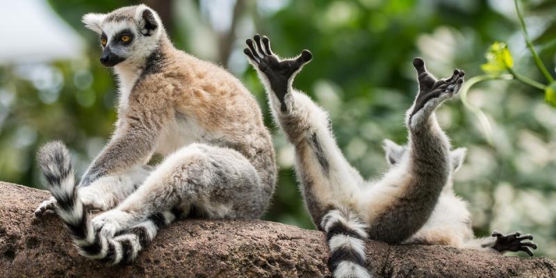 media gallery image 2