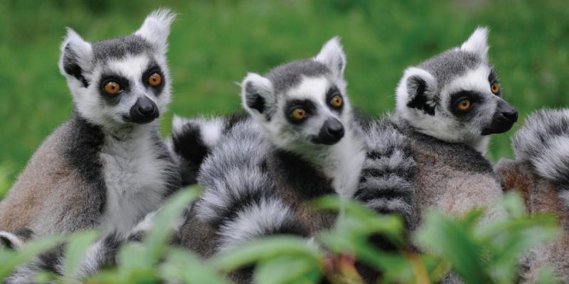 media gallery image 6