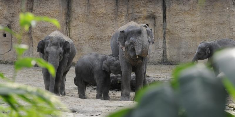 media gallery image 2