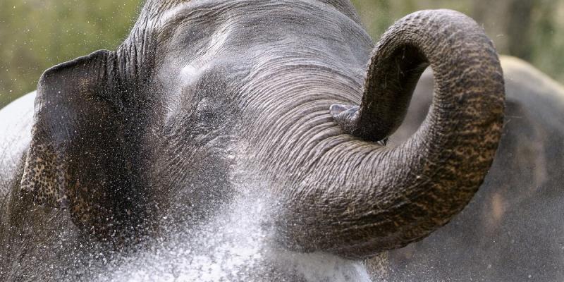 media gallery image 6