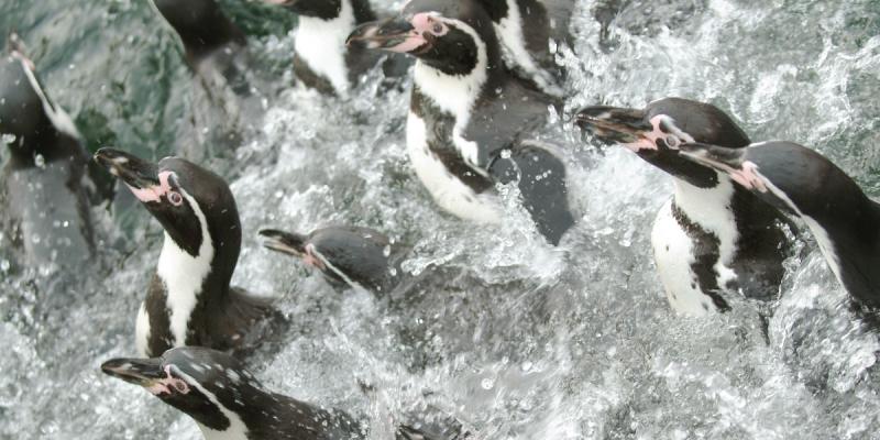 media gallery image 2