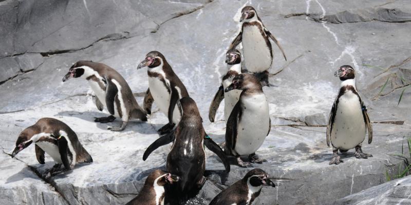 media gallery image 6