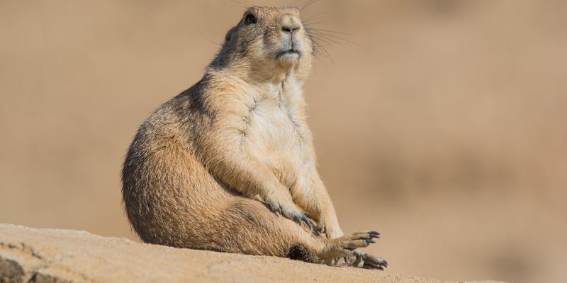 media gallery image 2