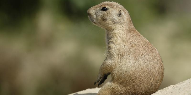 media gallery image 6