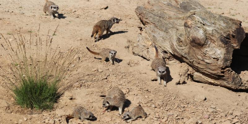 media gallery image 6