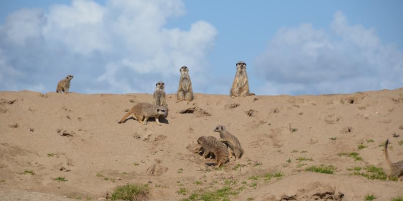 media gallery image 2