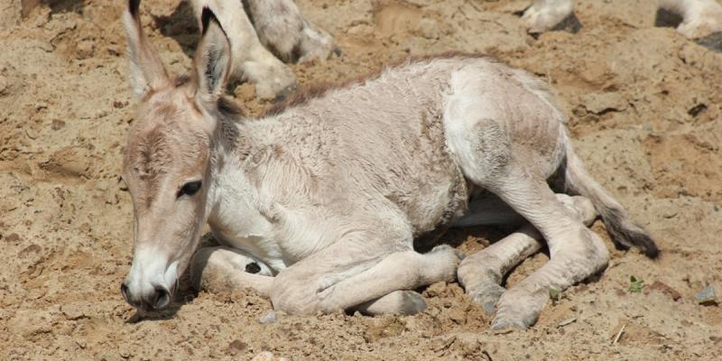 media gallery image 6