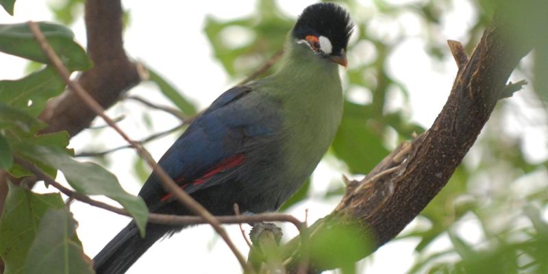 media gallery image 2