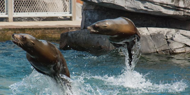 media gallery image 6