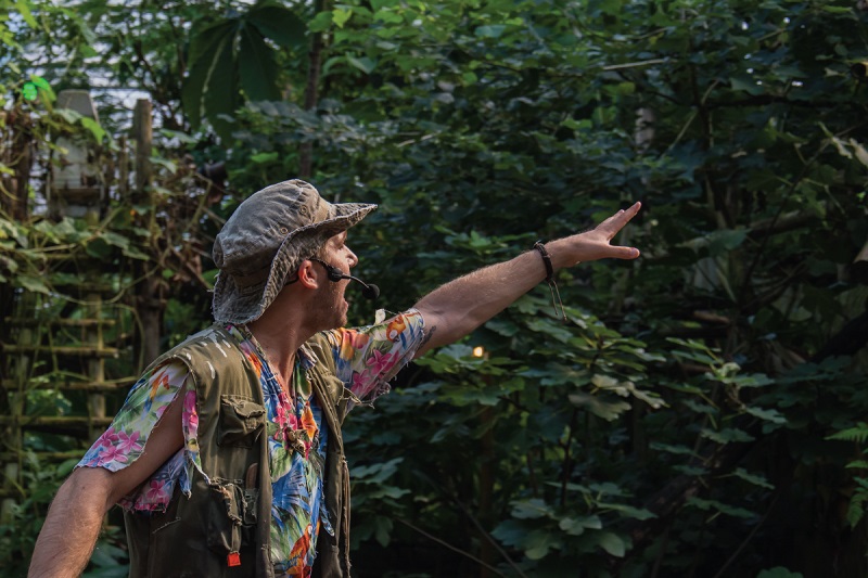 media slider widget image