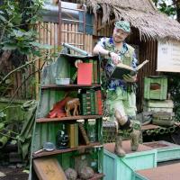 Jim's Dschungel Präsentation