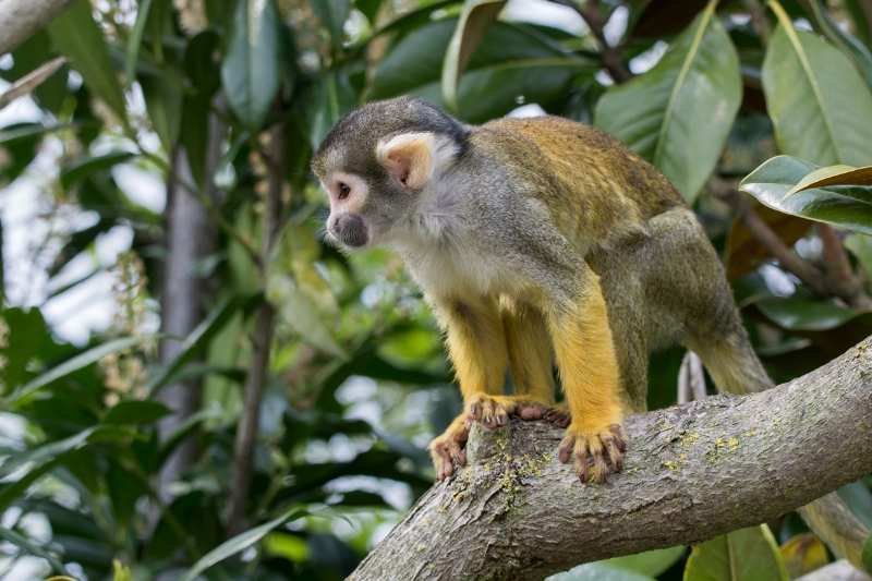 Die Frau ist der Chef!
