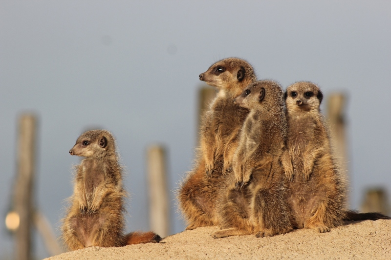 Gemeinsam gemütlich