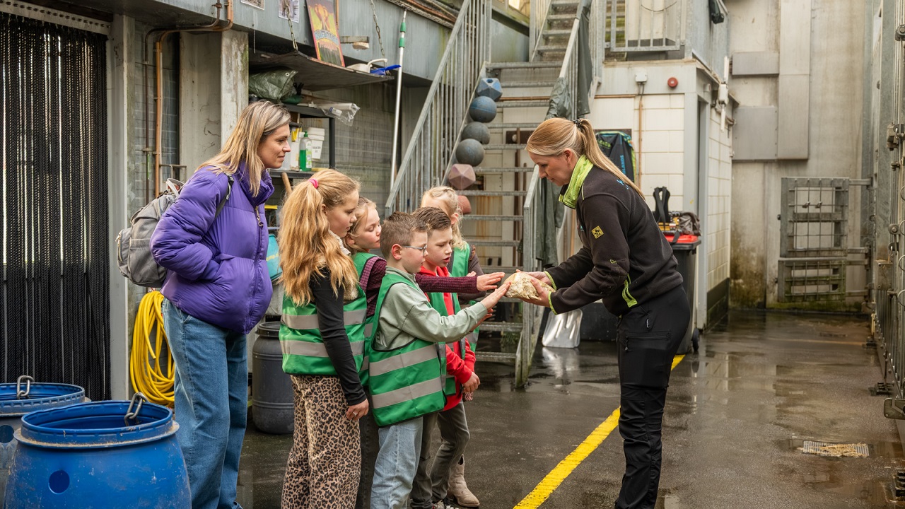 Expedition hinter den Kulissen